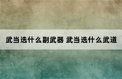 武当选什么副武器 武当选什么武道